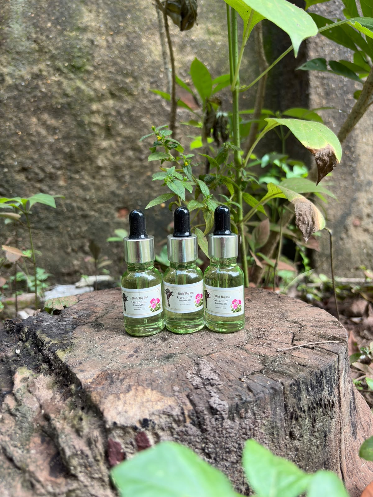 Geranium Essential Oil for love, self-love, Heart Chakra, and emotional renewal