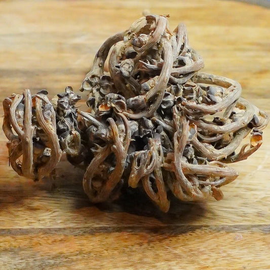 Real Pack Of 3 - Rose Of Jericho Herbs