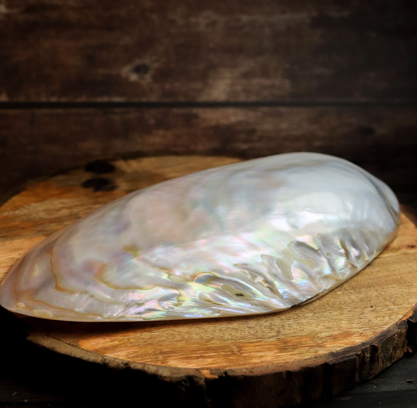 Real Mother of Pearl shell