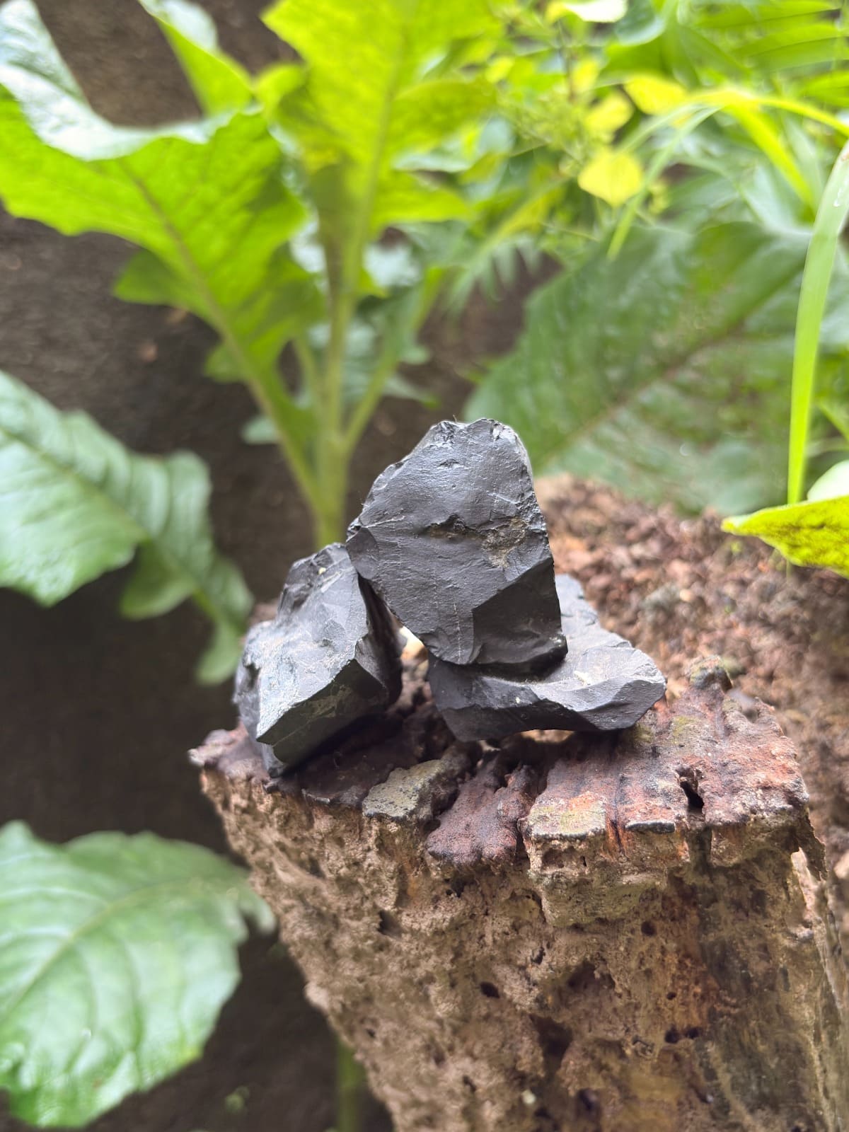 Black Onyx Raw Stone for protection, grounding and spiritual practice