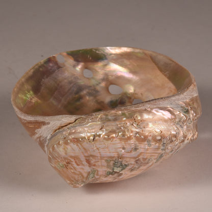 Real Abalobe Shell