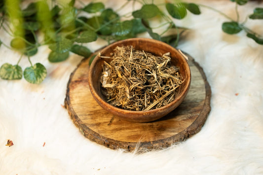 Dandelion leaves for rituals and spiritual work