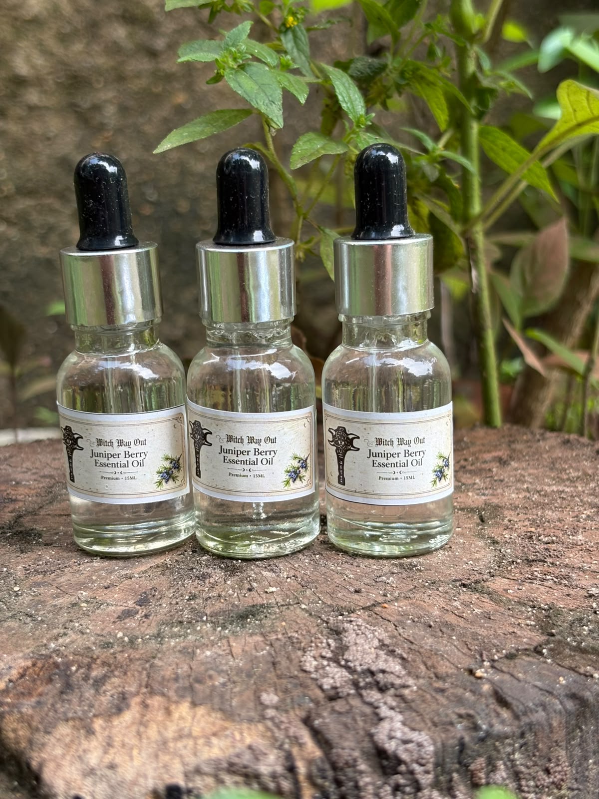 Juniper Berry Essential Oil for protection, cleansing, and spiritual renewal