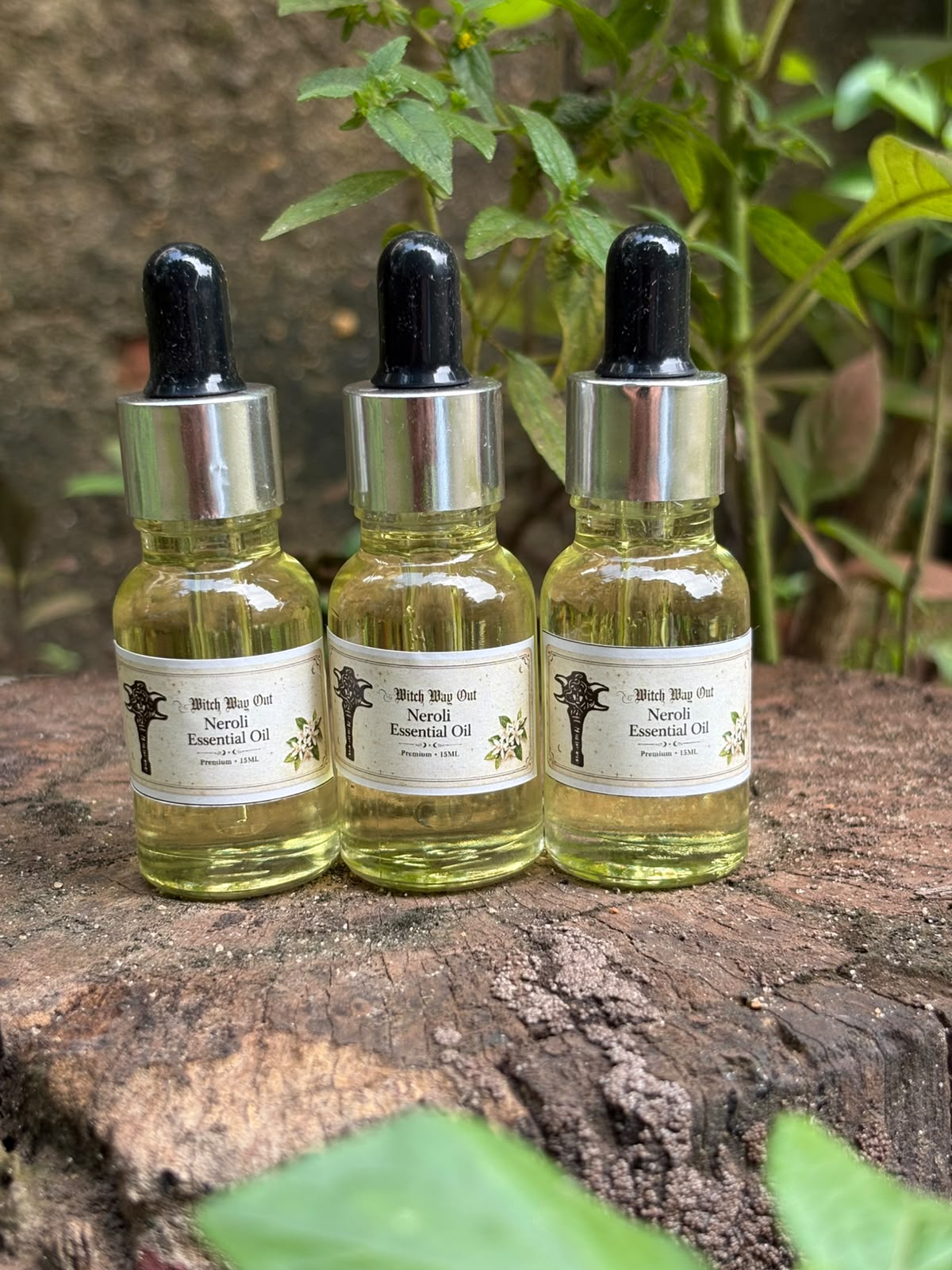 Neroli Essential Oil for love, emotional healing, self-love, and spiritual connection