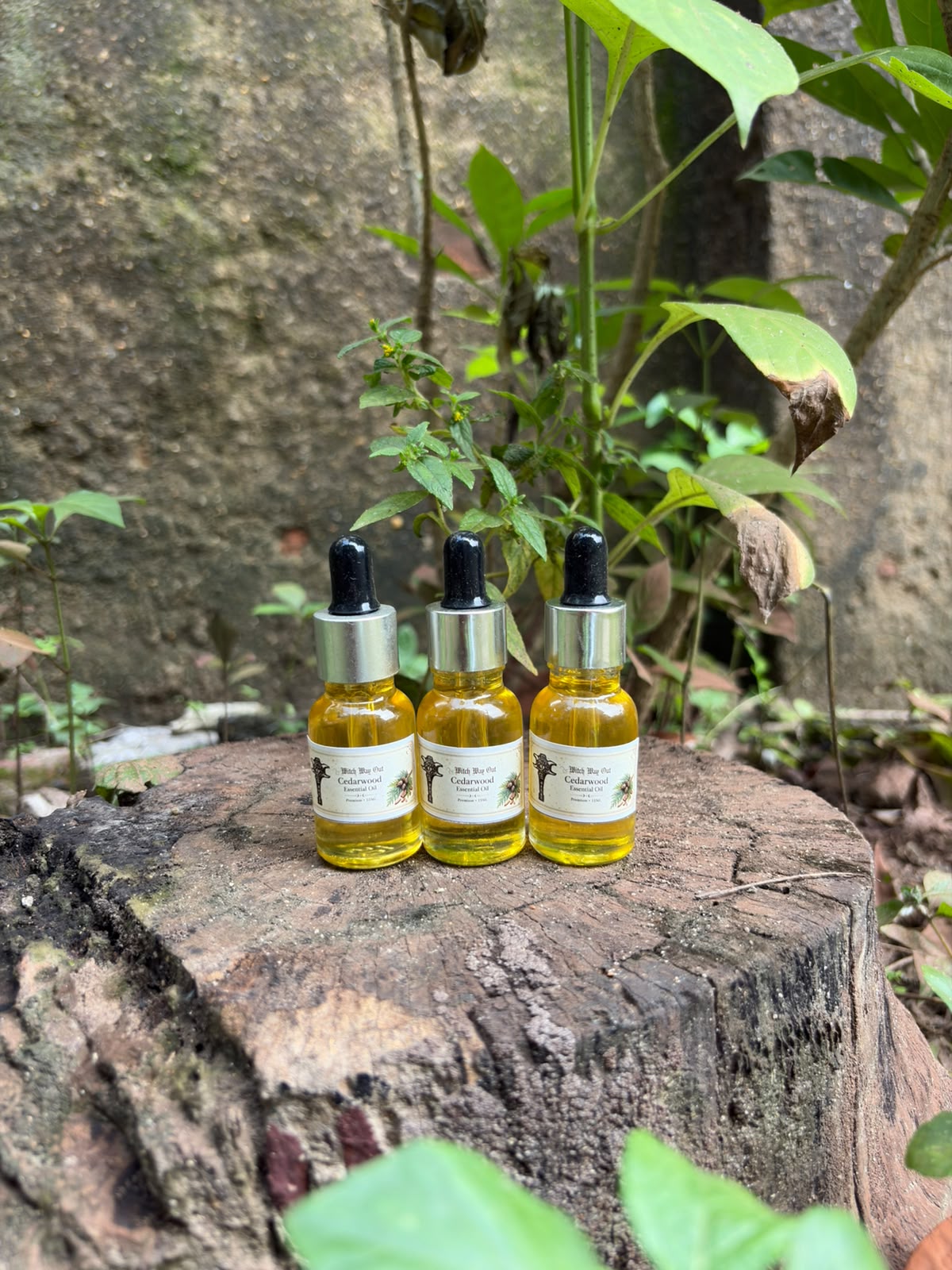 Cedarwood Essential Oil for grounding, protection, meditation, and spiritual strength