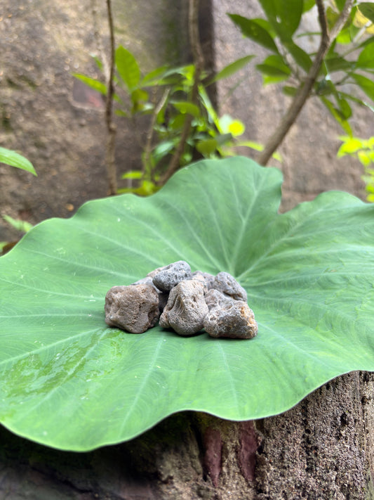 Tektite Crystal Raw Stone