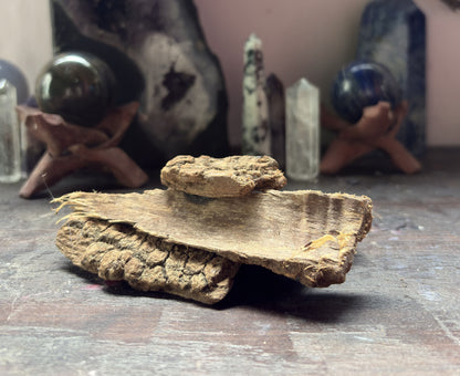 Jezebel Root for power, seduction, beauty magic, confidence, and personal magnetism