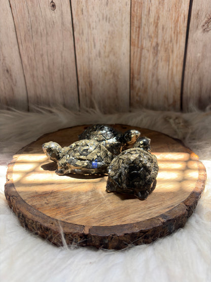 Pyrite Tortoise