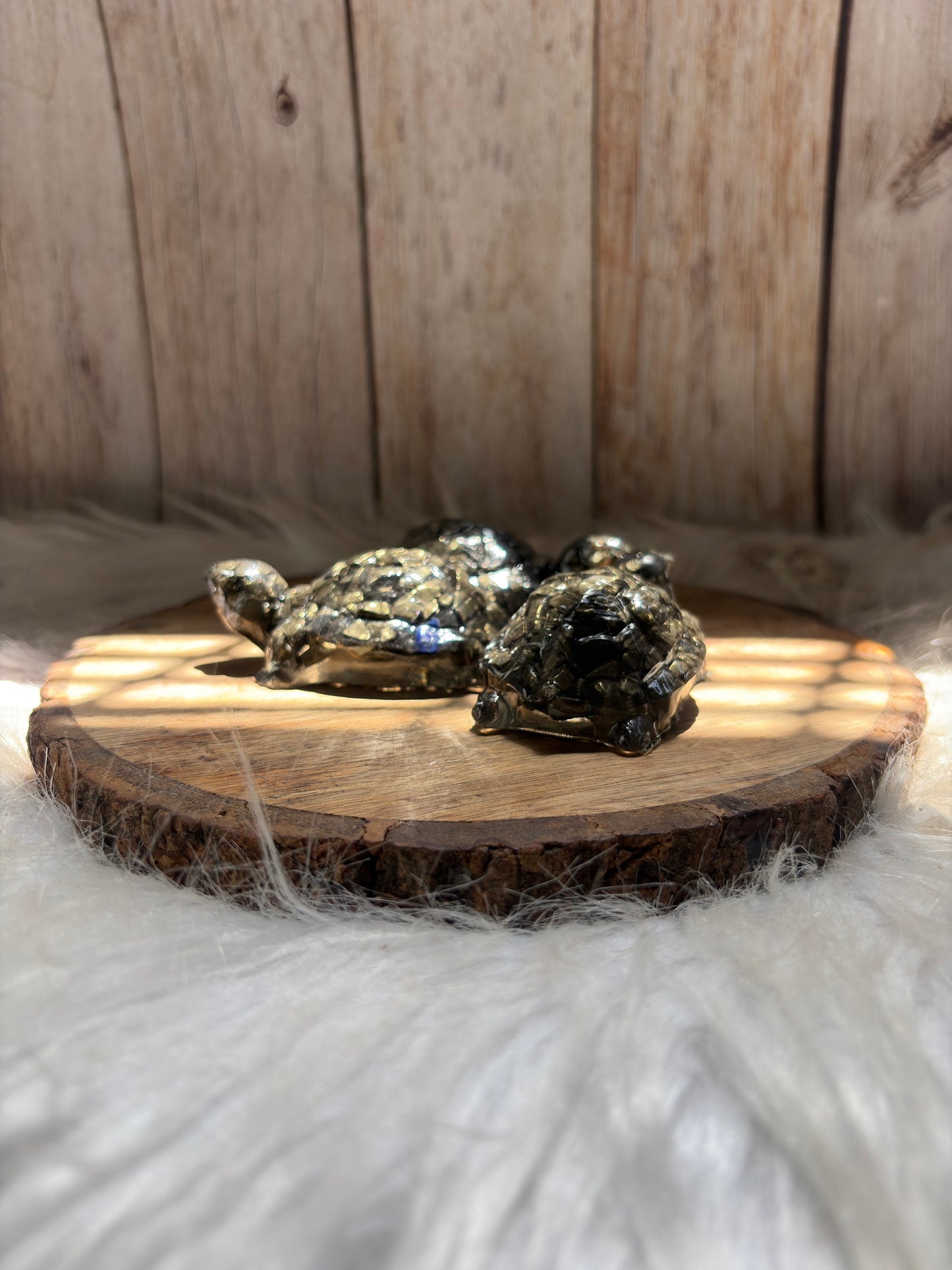 Pyrite Tortoise