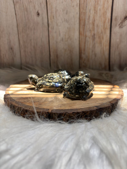 Pyrite Tortoise