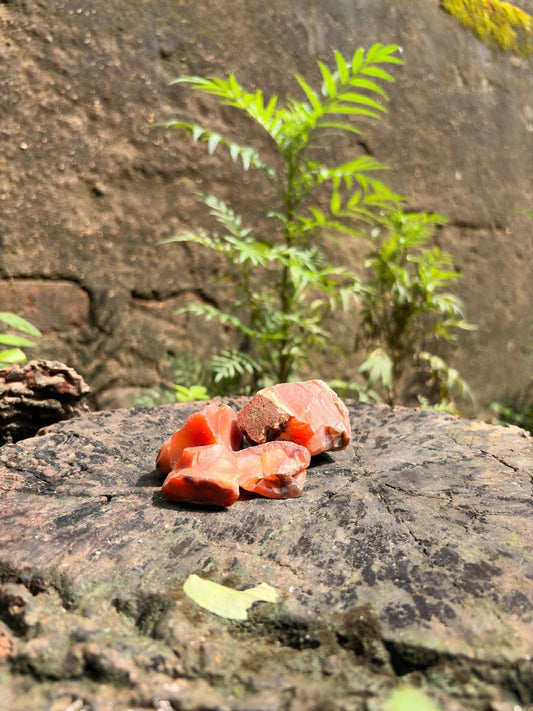 Orange Carnelian Raw Crystal Stone