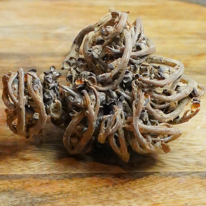 Real Pack Of 3 - Rose Of Jericho Herbs