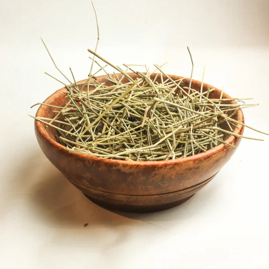 Real Horsetail Herbs